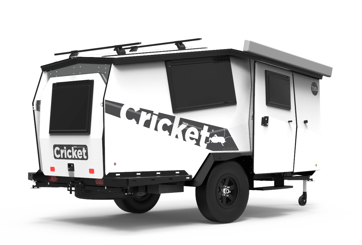 Cricket - rent cricket