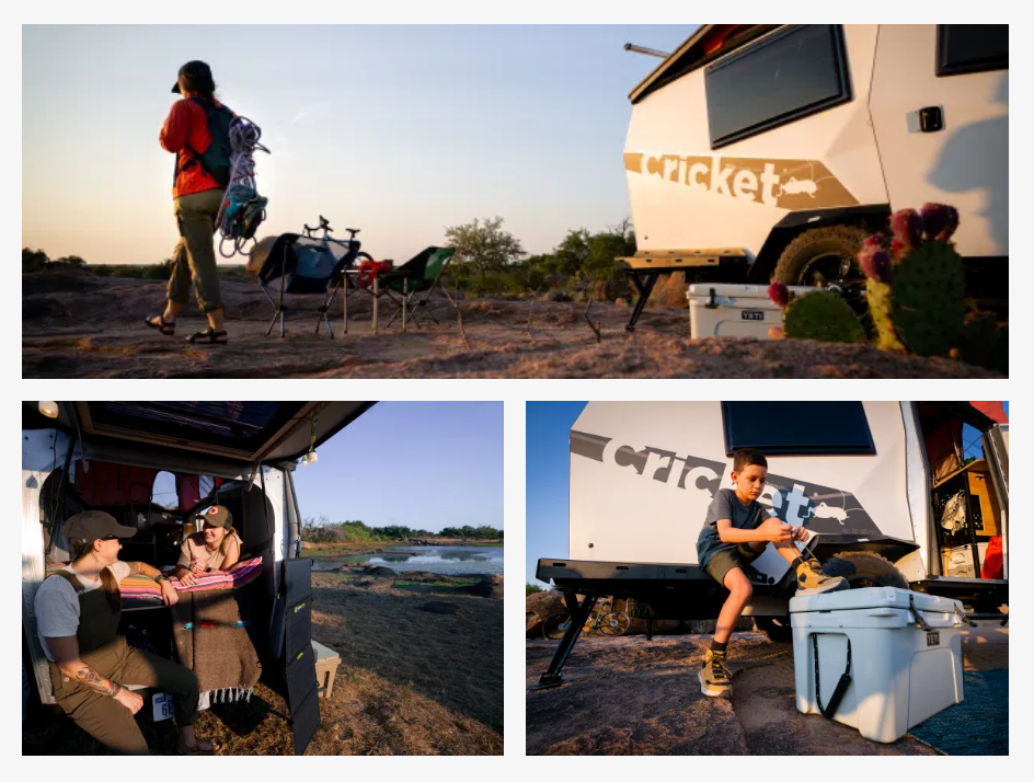 Cricket - rent cricket