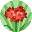 Lisa Harrell profile picture